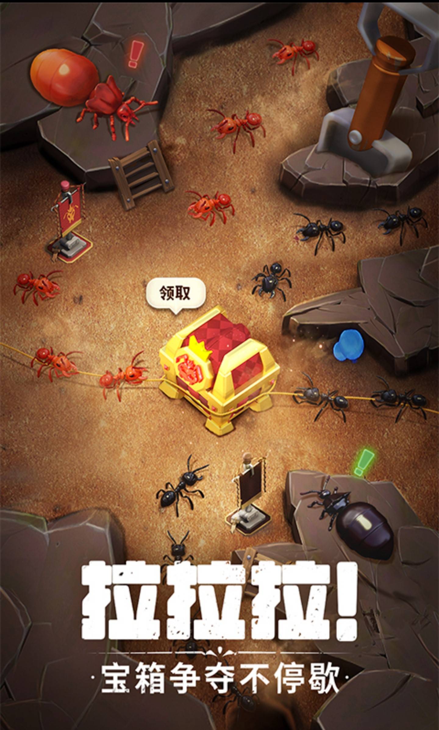 什么是蚁族